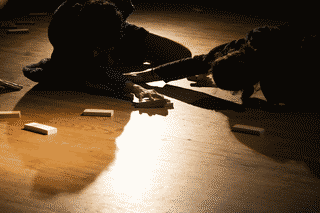 foto: dos personas en el suelo manipulando piezas de madera